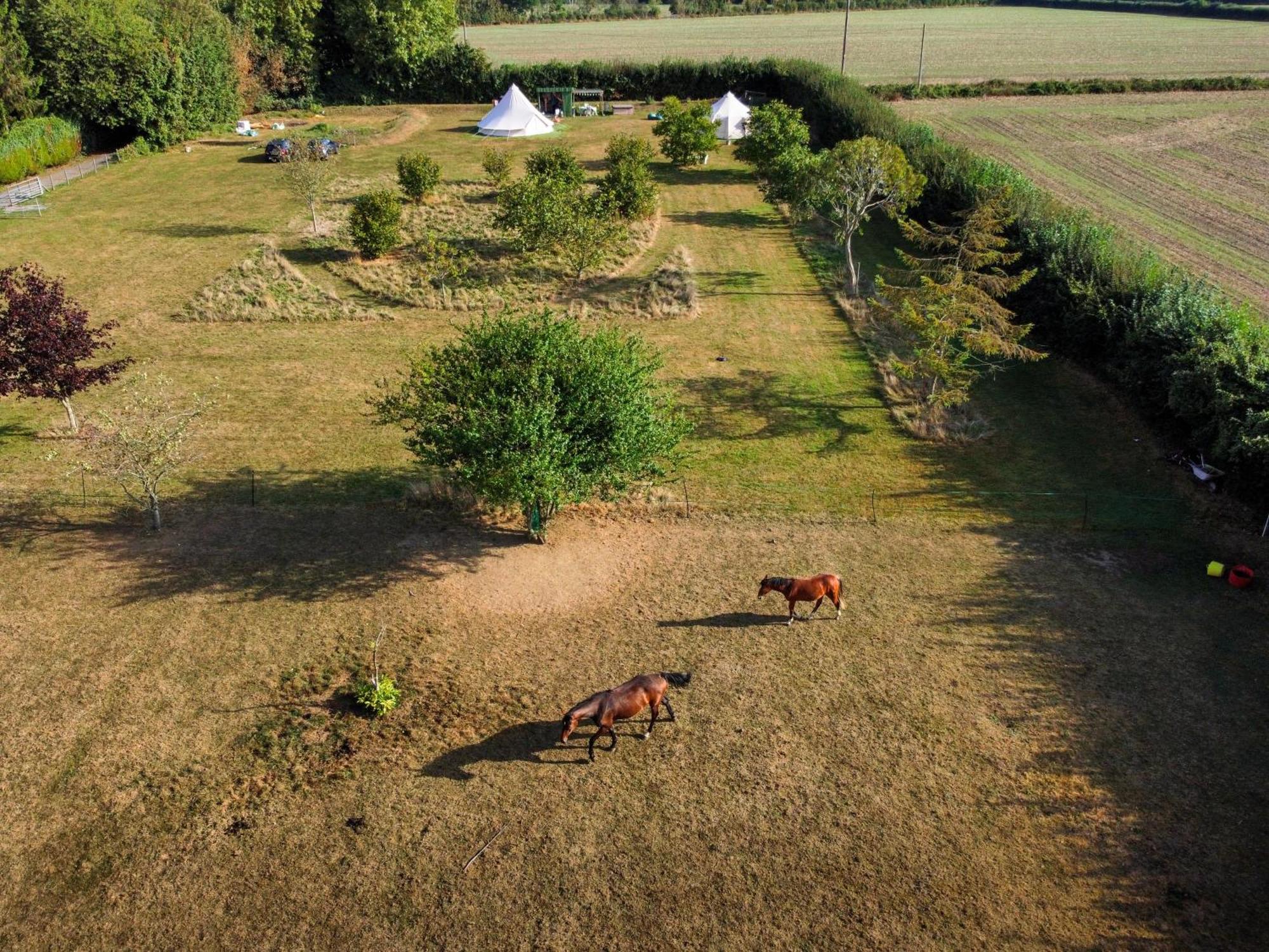 The Follies Glamping
